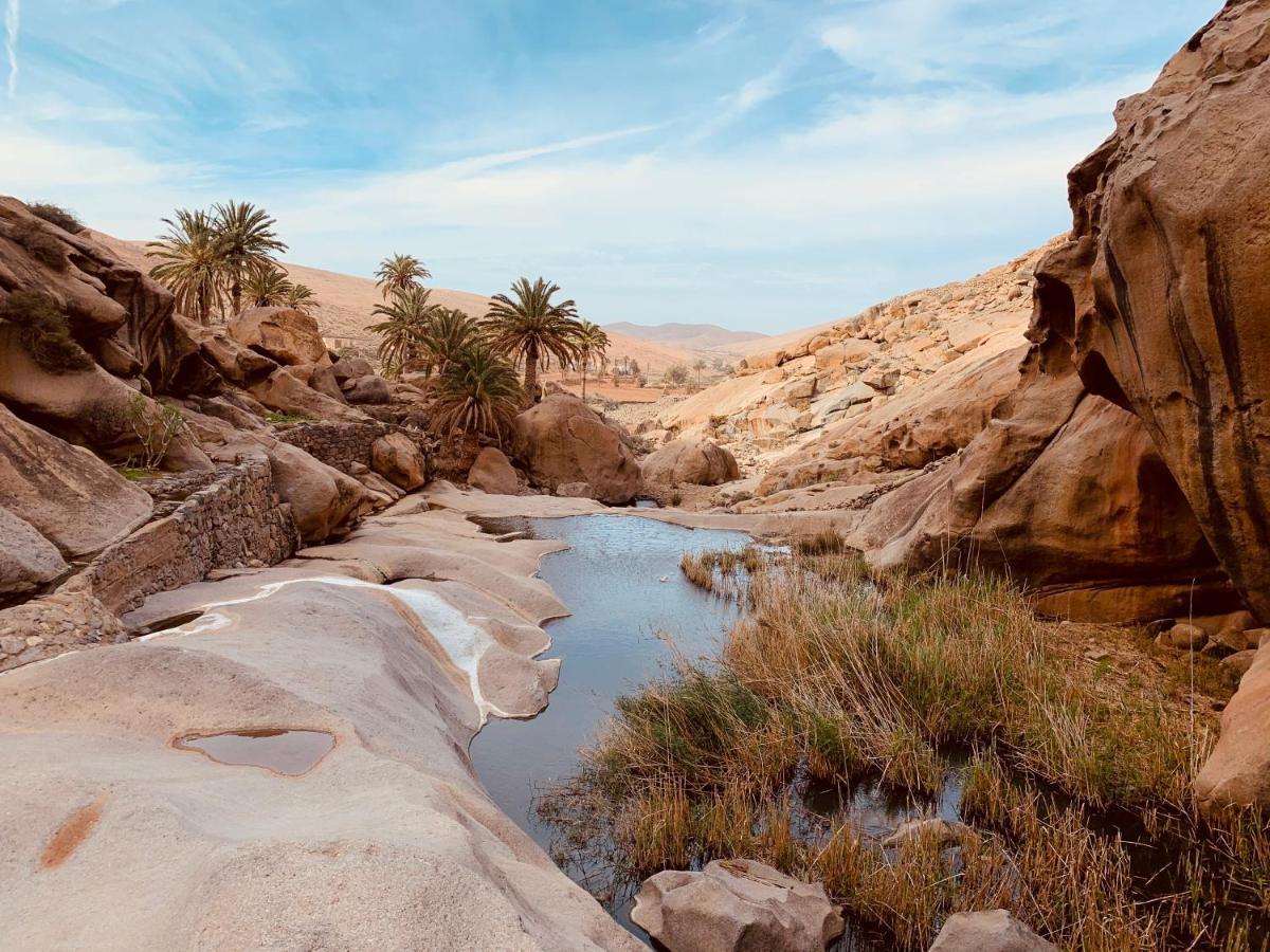 فيلا El Remanso Pájara المظهر الخارجي الصورة